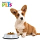 thumbnail image 2 of Plato Jaspeado Acero Inoxidable 32 Oz 907g Blanco Perro Fancy Pets Fancy Pets FL8154_BLA, 2 of 3