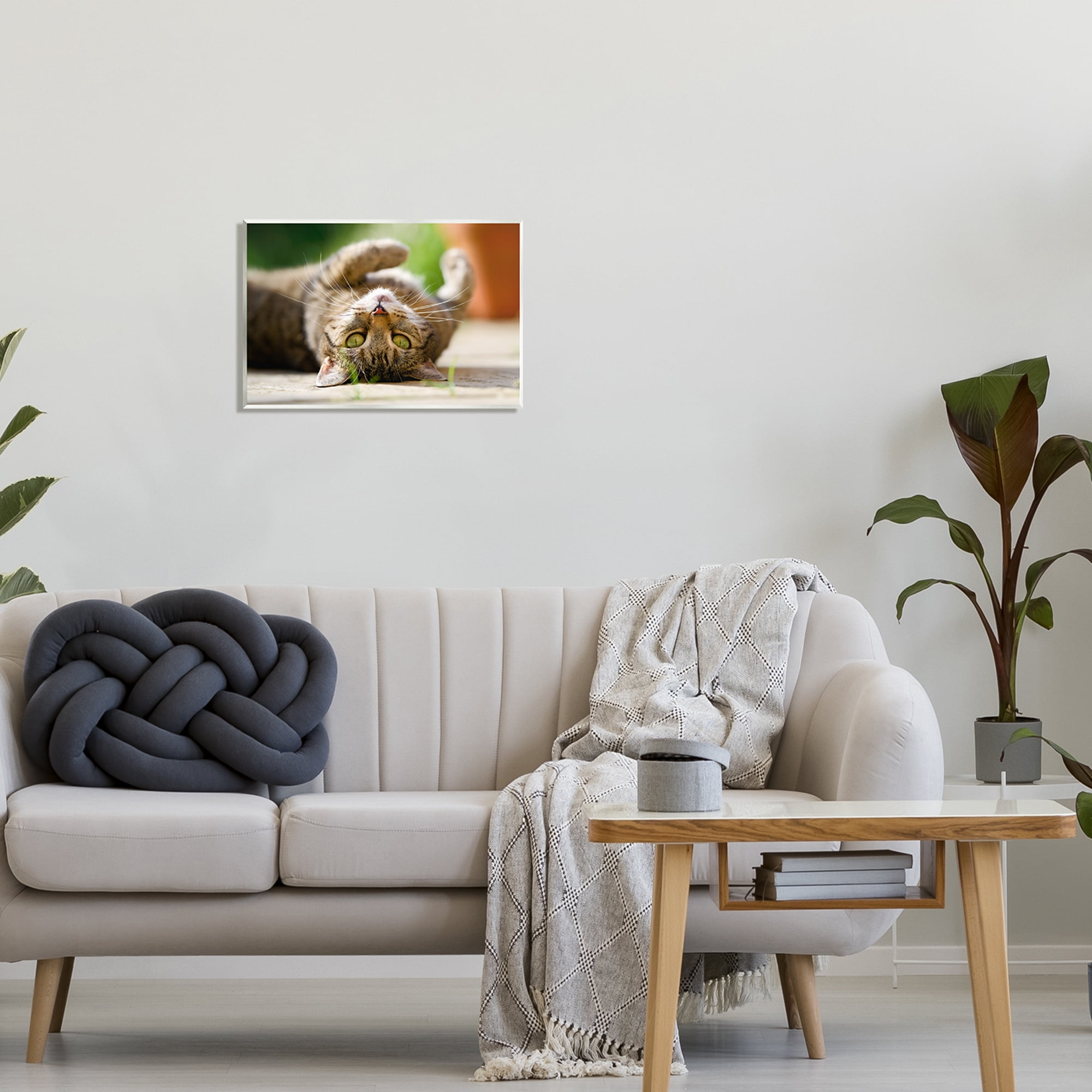 Stupell Industries Upside Down Cat Portrait Animals & Insects Photography Unframed Art Print Wall Art, 19 x 13