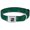 Green, variant on Buckle-Down Pet Collar, Dog Collar Metal Seatbelt Buckle, Pdx Airport Carpet Old, 9.5 to 13 Inches 1.0 Inch Wide