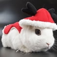 thumbnail image 5 of SPRING PARK Bunny Costumes - Cute Guinea Pig Clothes Soft Bunny Vest Cozy Cape with Leash for Guinea Pig Ferret Bunny Kitten and Other Small Animals for Christmas, 5 of 7