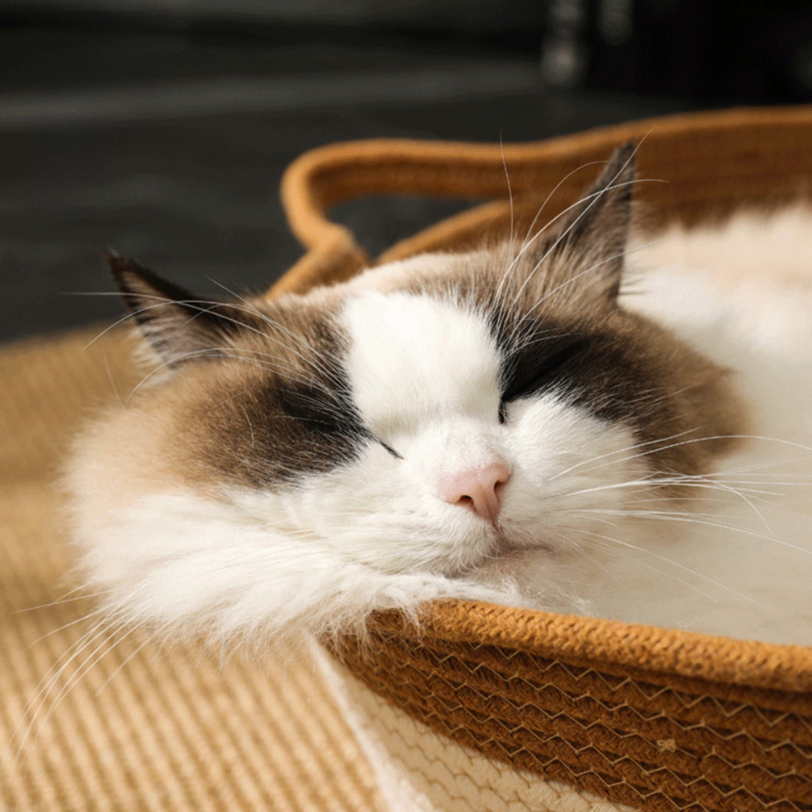 SPOORYYO Cat Basket, Pets Hand Woven Sleeping Bed Basket, Rope Round Cat Nest with Built-in Scratching Pad and Play Ball for Cats and Dogs All-Season