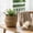 Top Diameter 12cm, Mid Diameter 16cm, variant on Foldable Natural Seagrass Woven Basket, Handmade Seagrass Planter & Storage Organizer with Handles, Easter Eggs Hunt Bucket, Aesthetic Boho Home Decor(Top Diameter 12cm, Mid Diameter 16cm, XS)