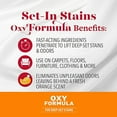 thumbnail image 3 of Nature’s Miracle Oxy Formula Set-In Stain Destroyer for Cats, Orange Scent, 1 gal, 3 of 7