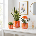 thumbnail image 4 of BUYMAX Plant Pots, 4+5+6 inch Pots for Indoor Plants,Ceramic Planter Pot with Drainage Hole,Flower Pots for Succulent Cactus,Set of 3 - Rainbow Pearl Glaze Orange, 4 of 7