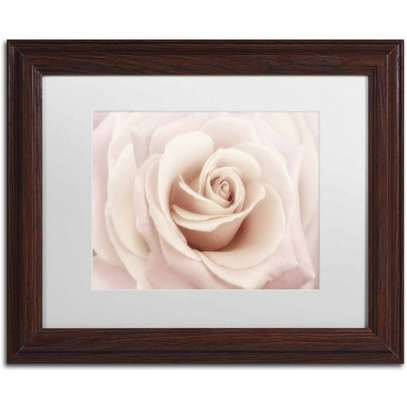Trademark Fine Art 'Peach Pink Rose' Canvas Art by Cora Niele, White Matte, Wood Frame