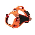 thumbnail image 1 of TIMIFIS Harnais pour Chien Laisse pour Animal de Compagnie Chien Chat Trousse Chien Réfléchissant Sangle de Poitrine Chiot Harnais de Marche Extérieur pour Petit Chien Sans Traction - Automne, 1 of 1