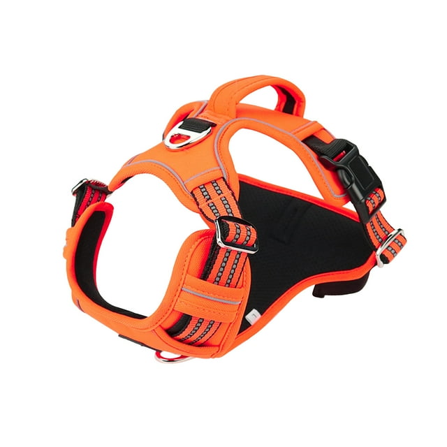 TIMIFIS Harnais pour Chien Laisse pour Animal de Compagnie Chien Chat Trousse Chien Réfléchissant Sangle de Poitrine Chiot Harnais de Marche Extérieur pour Petit Chien Sans Traction - Automne