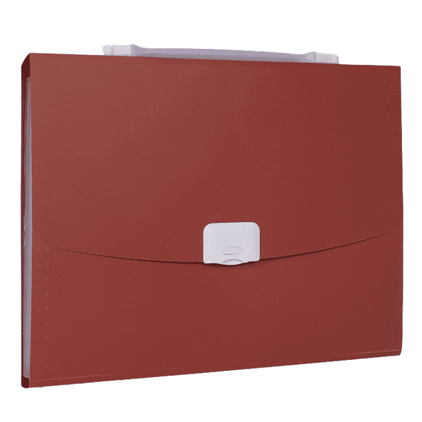 Carpeta de archivos expansible de bolsillo, organizador de carpetas de documentos Carpeta de archivos expansible con asa Zhivalor CPB-US-XD227-2