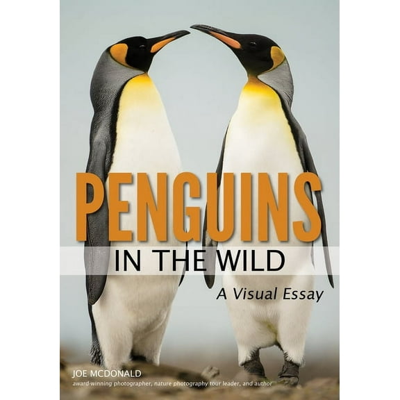 Penguins in the Wild (Paperback) by Joe McDonald