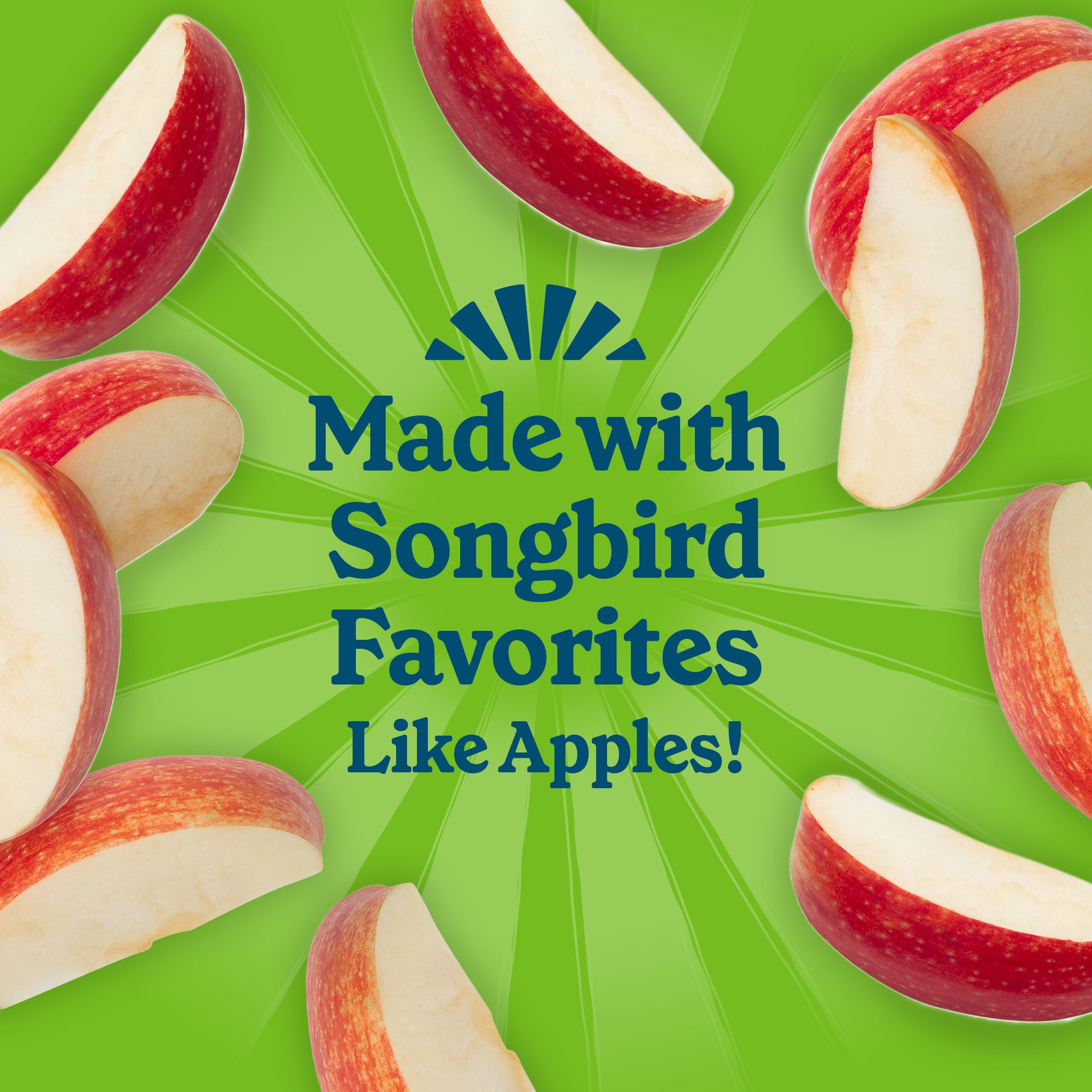 Pennington Feeding Frenzy Apple Treat Suet, 11.75 oz Cake, Wild Bird Food, 1 Pack, Fresh