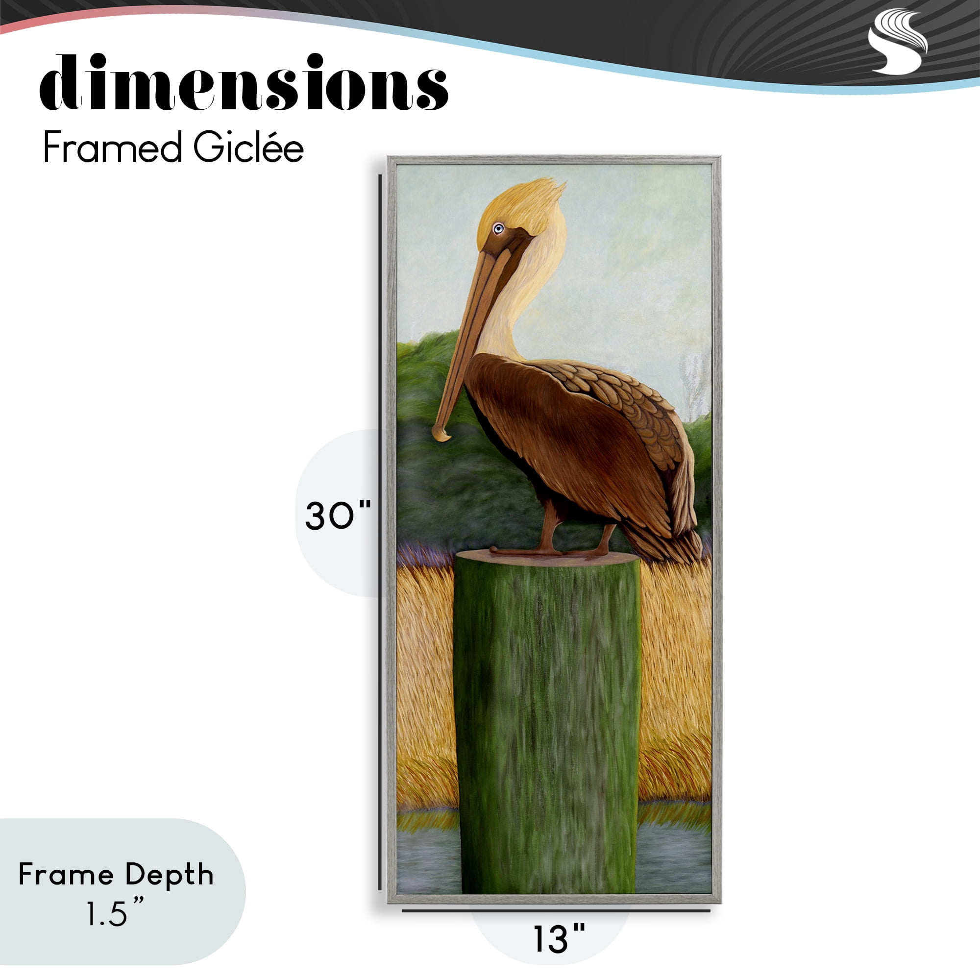 Stupell Industries Blue Eyed Pelican Gray Framed Giclee Art, design by Barbara Fallenbaum