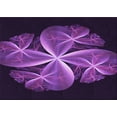 thumbnail image 1 of Ahgly Company Indoor Rectangle Patterned Dark Orchid Purple Area Rugs, 2' x 5', 1 of 6