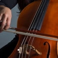 thumbnail image 3 of 2 Pcs Éliminateurs de Ton de Loup Ajustables Accessoires d'Instruments de Ton de Loup, 3 of 8