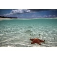thumbnail image 2 of Pardini, Elena 24x17 Gold Ornate Wood Framed with Double Matting Museum Art Print Titled - Underwater, 2 of 4