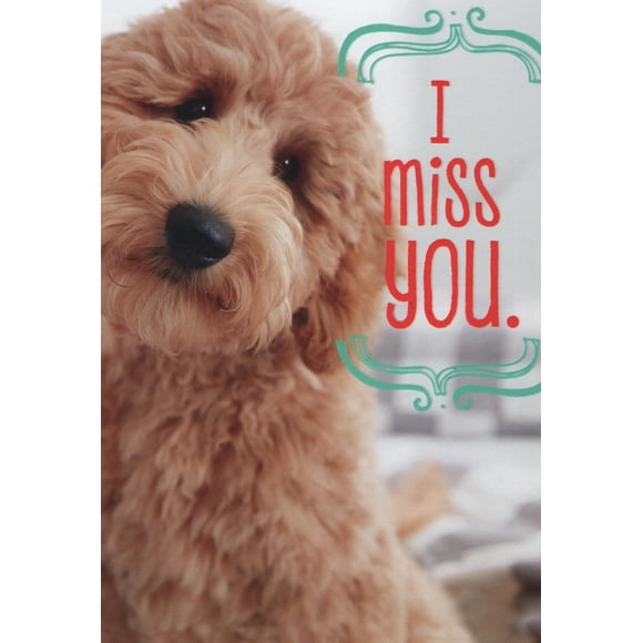 Tarjeta de saludo Heartline by Hallmark Te extraño