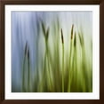 thumbnail image 2 of Art.com Moss Photographic Print by Ursula Abresch, Brown Frame Wall Art, 38" x 38", 2 of 5