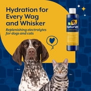 NaturVet Pet Electrolyte Concentrate for Dogs and Cats, 16 fl oz