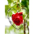 thumbnail image 1 of Pintura de diamante (DB6265) Love Rose 5D DIY Square Mosaic Rhinestone Craft 30x40cm FLhrweasw Nuevo, 1 of 1