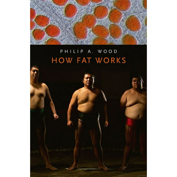 How Fat Works