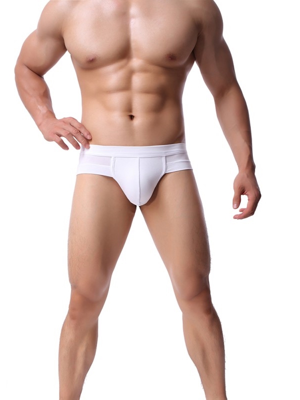 Men's Underwear Modal Microfiber Briefs Mid Waist Underpants