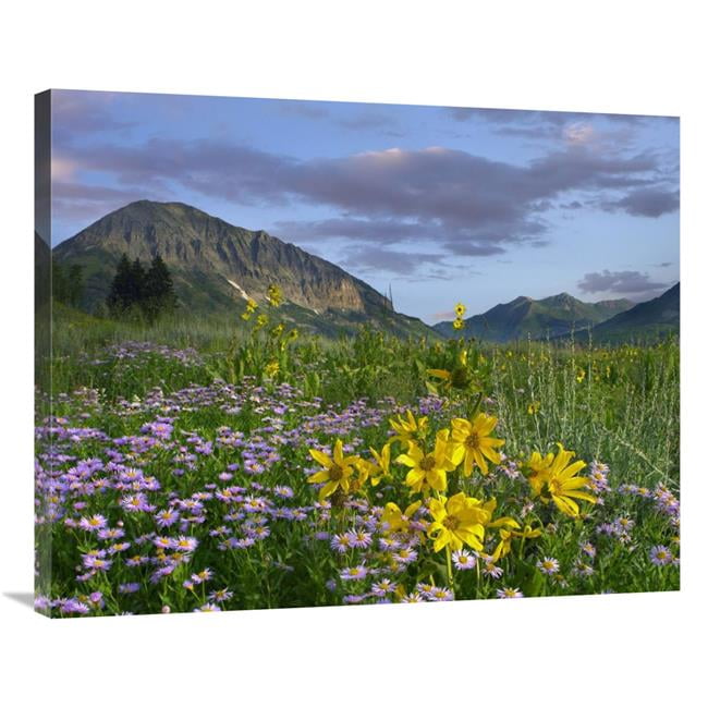 Gothic Green Giclee Canvas Picture Art 