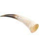 thumbnail image 5 of WORGEOUS Hogar retro Bull Horn Inserted Vase amarillo Bull Horn Pornón Mundial Cuerno de adorno colgante de unos 40-48 cm, 5 of 9