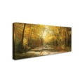 thumbnail image 2 of Trademark Fine Art 'Gap Road Crop' Canvas Art by Julia Purinton, 2 of 3