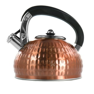Vintage Tea Kettle Copper with Ceramic Spout Plug Handle Painted