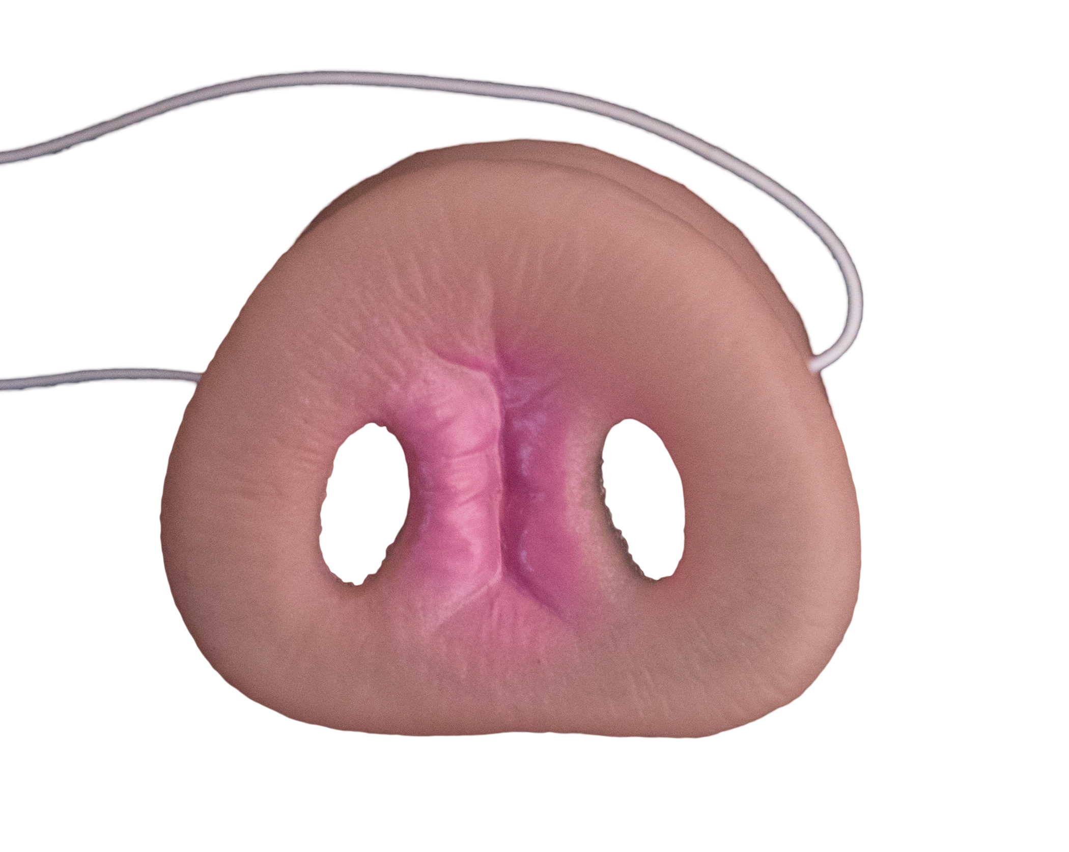 Pig Nose with Elastic Band Adult Halloween Costume Accessory - image 2 of 3