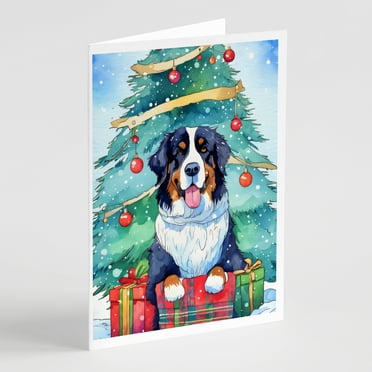 Bernese Mountain Dog Christmas Greeting Cards Pack of 8 7 in x 5 in