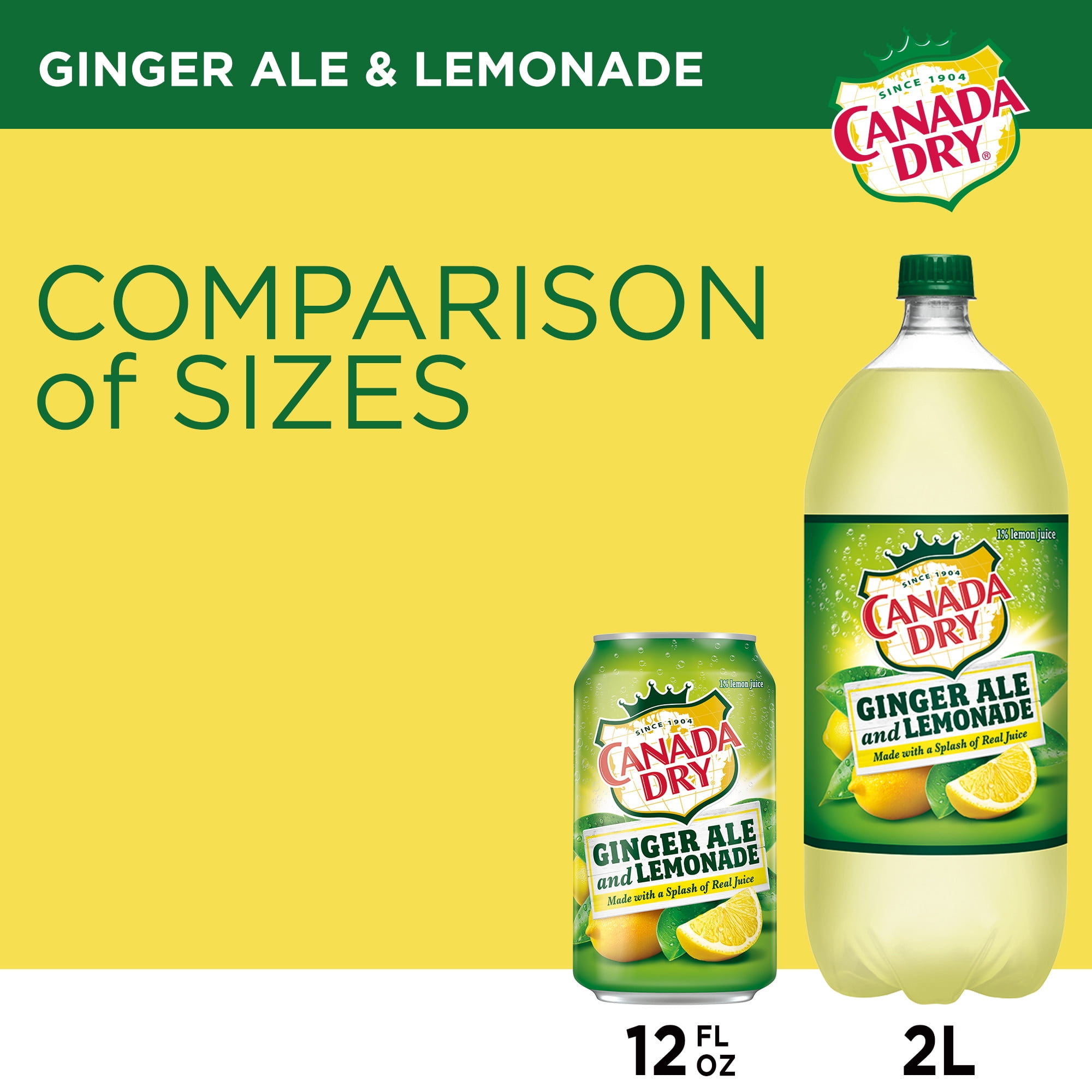Buy Canada Dry Ginger Ale and Lemonade Soda, 12 fl oz cans, 12 pack