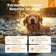 thumbnail image 2 of Zesty Paws Turmeric Curcumin Bites Bacon Flavor Dog Supplement, 90 Count, 2 of 9