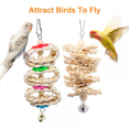thumbnail image 5 of 7-Pack Small Bird Parrot Swing Chew Toys - Wall Clock Bird C, 5 of 5