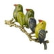 thumbnail image 3 of 2pcs Broche Pin Vintage Pájaros, 3 of 9
