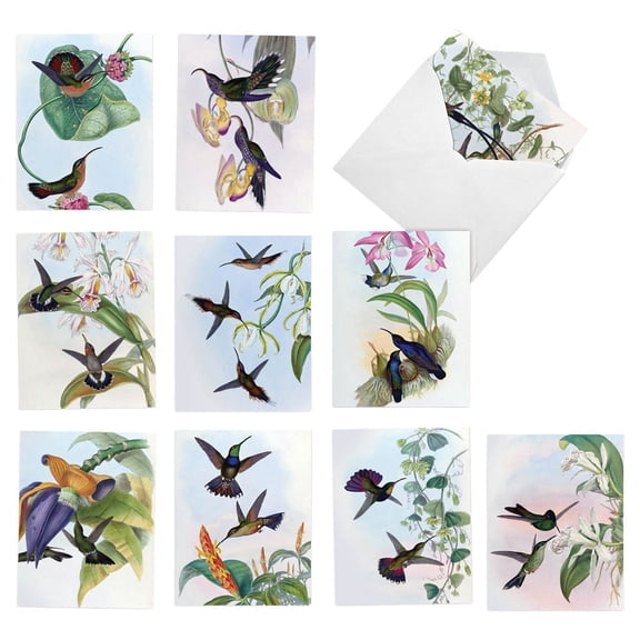 The Best Card Company Watercolor Hummingbird Note Cards, Assorted Colors, 10 Pack
