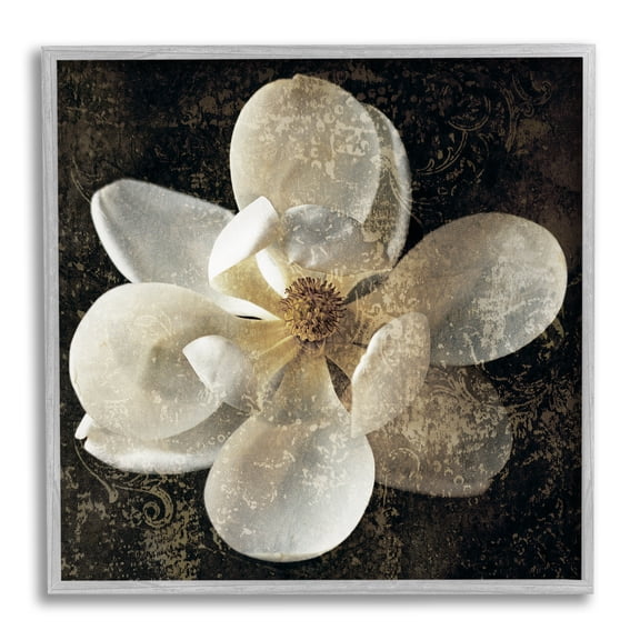 Stupell Industries Rustic Patterned Magnolia Botanical & Floral Painting Gray Framed Art Print Wall Art, 17 x 17