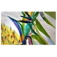 thumbnail image 1 of Betsydrake DM1162G 30 x 50 Po Ciel de Sarcelle II Tapis de Porte, 1 of 1