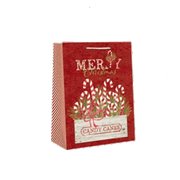 Paper Images 2Pack Accented Farmhouse Giftbag - - Candy Canes - / Medium