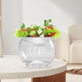 thumbnail image 4 of 1 Juego de soporte de cristal para taza , mezcla esférica para barra casera Plato cuenco Zulema Capa intermedia de mezcla molecular, 4 of 8