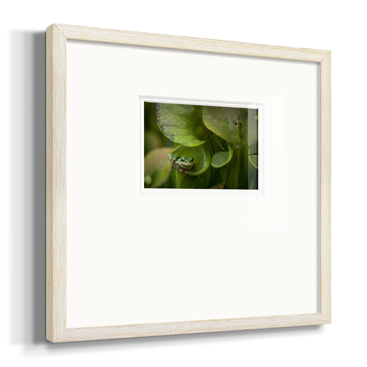 Arboreal RefugePremium Framed Print