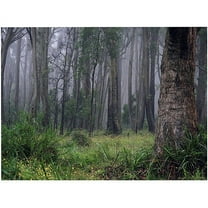 Trademark Fine Art Beata Czyzowska Young Land of OZ Canvas Wall Art - 18x24