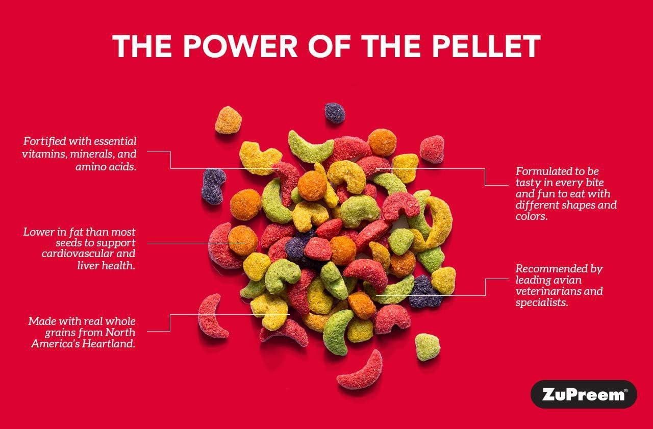 Zupreem FruitBlend Flavor Food For Parrots & Conures