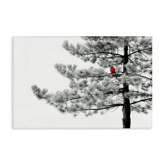 Cardinal in Stark Winter Tree Canvas Art, 24 x 16, Made In USA