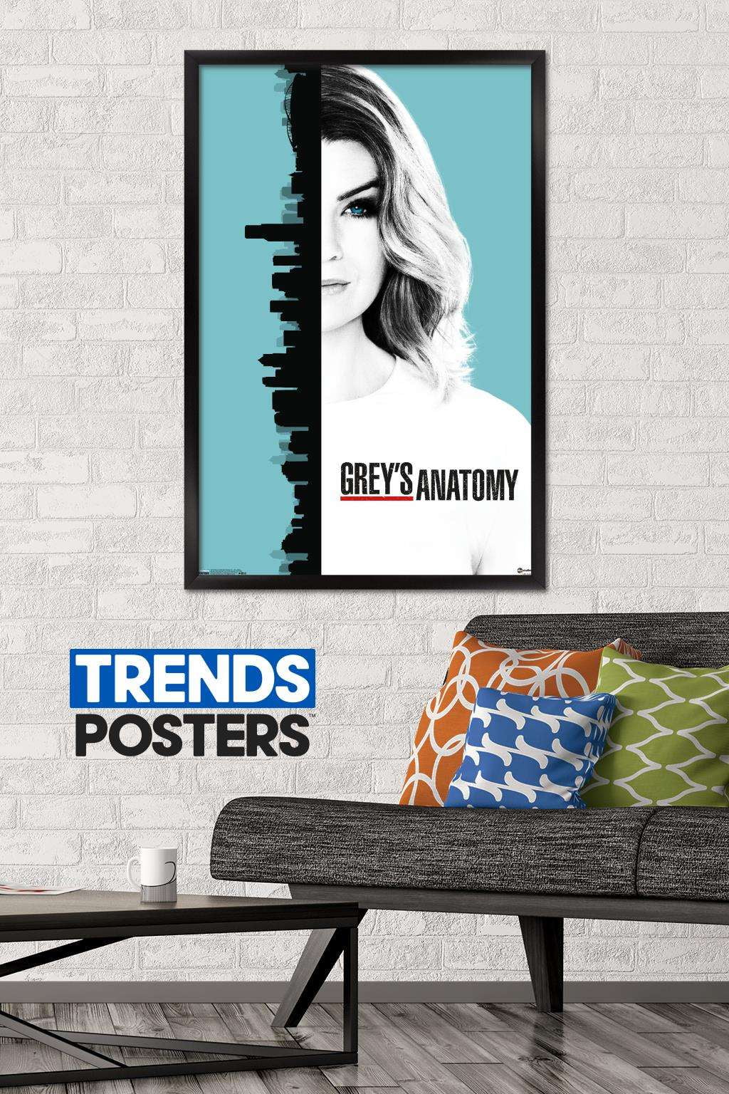 Grey's Anatomy Season 13 - One Sheet Poster