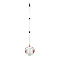 thumbnail image 4 of Collecteur de Noix Collecteur de Balles de Golf Collecteur de Balles Roulantes de Jardin Attrape-Noix Récolteuse de Noix Cueilleur de Fruits Petite Balle, 4 of 6