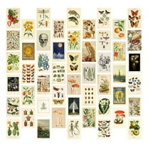 Vintage Aesthetic Wall Collage Kit - 50 Mini Botanical Collage Art Posters (4X6Inch), for Photo Wall