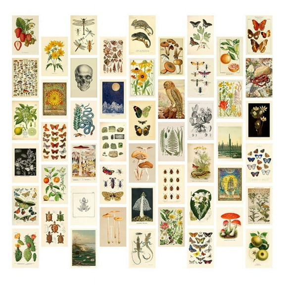 Vintage Aesthetic Wall Collage Kit - 50 Mini Botanical Art Posters (4X6Inch), for Trendy Photo