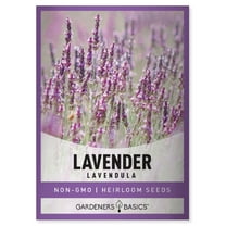 Lavender Seeds