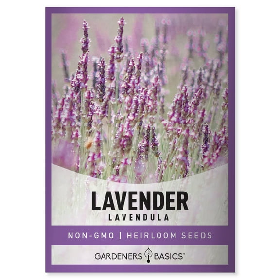 Lavender Seeds