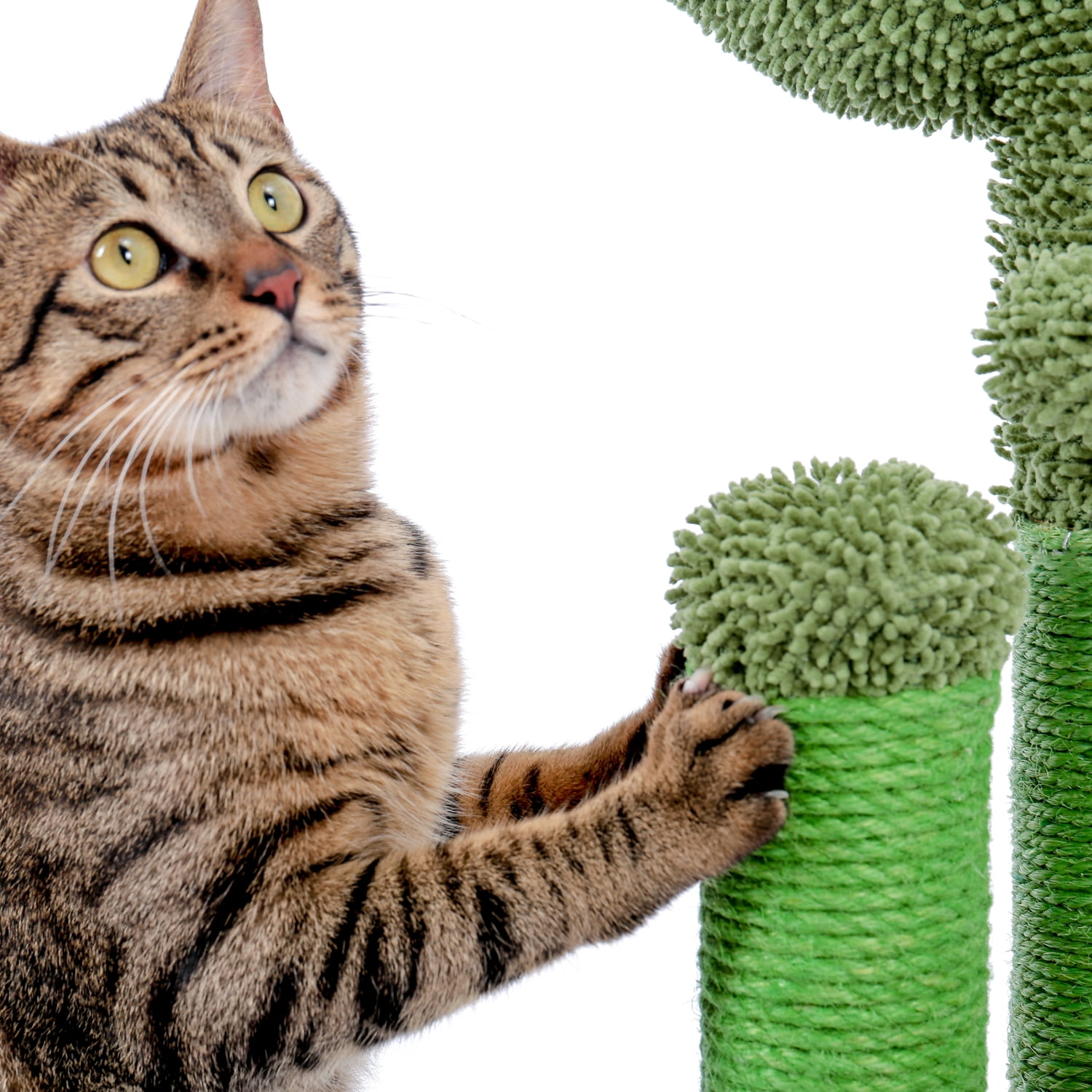 Pefilos 27" Cat Scratching Post for Adult Cats Cactus Cat Scratcher for Large Cats Featuring with 3 Scratching Poles and Interactive Dangling Ball Cat Tree for Indoor Cats, L Pefilos 27" Cat Scratching Post for Adult Cats Cactus Cat Scratcher for Large Cats Featuring with 3 Scratching Poles and Interactive Dangling Ball Cat Tree for Indoor Cats, L